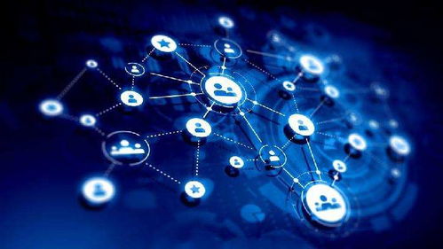 攜手共贏 種植戶與水溶肥生產(chǎn)廠家技術合作的新趨勢